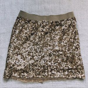 LAST CHANCE Lands End Canvas Sequin Skirt